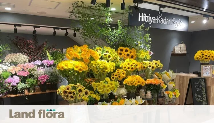 【株式会社ランドフローラ様インタビュー】応募数5倍増！店舗オペレーションの改善に成功！｜デジタルプロモーション施策なら「Dline」