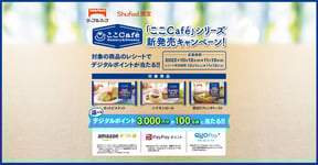 キャンペーン概要