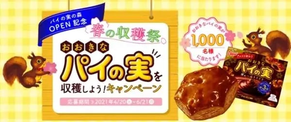 キャンペーン景品事例：おおきなパイの実キャンペーン