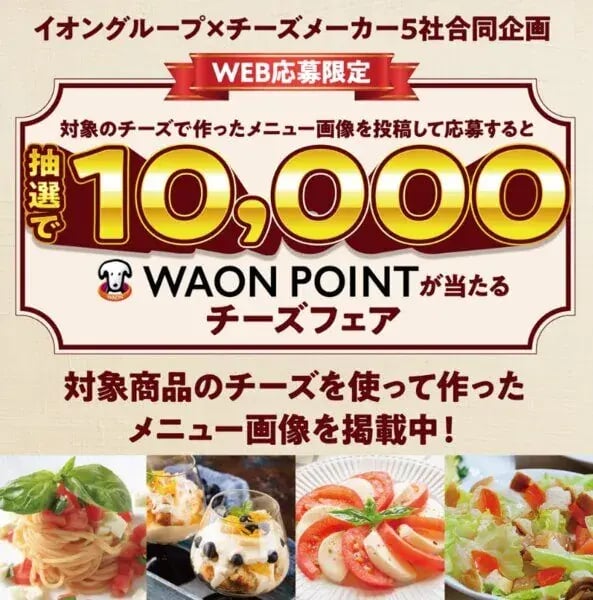 フォトコンテスト事例（購買促進・販売促進型）：イオングループ×チーズメーカー5社合同企画 10,000WAON POINTが当たるチーズフェア