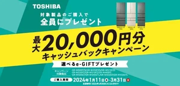 キャッシュバックキャンペーン事例（動機付けタイプ）：東芝冷蔵庫キャンペーン