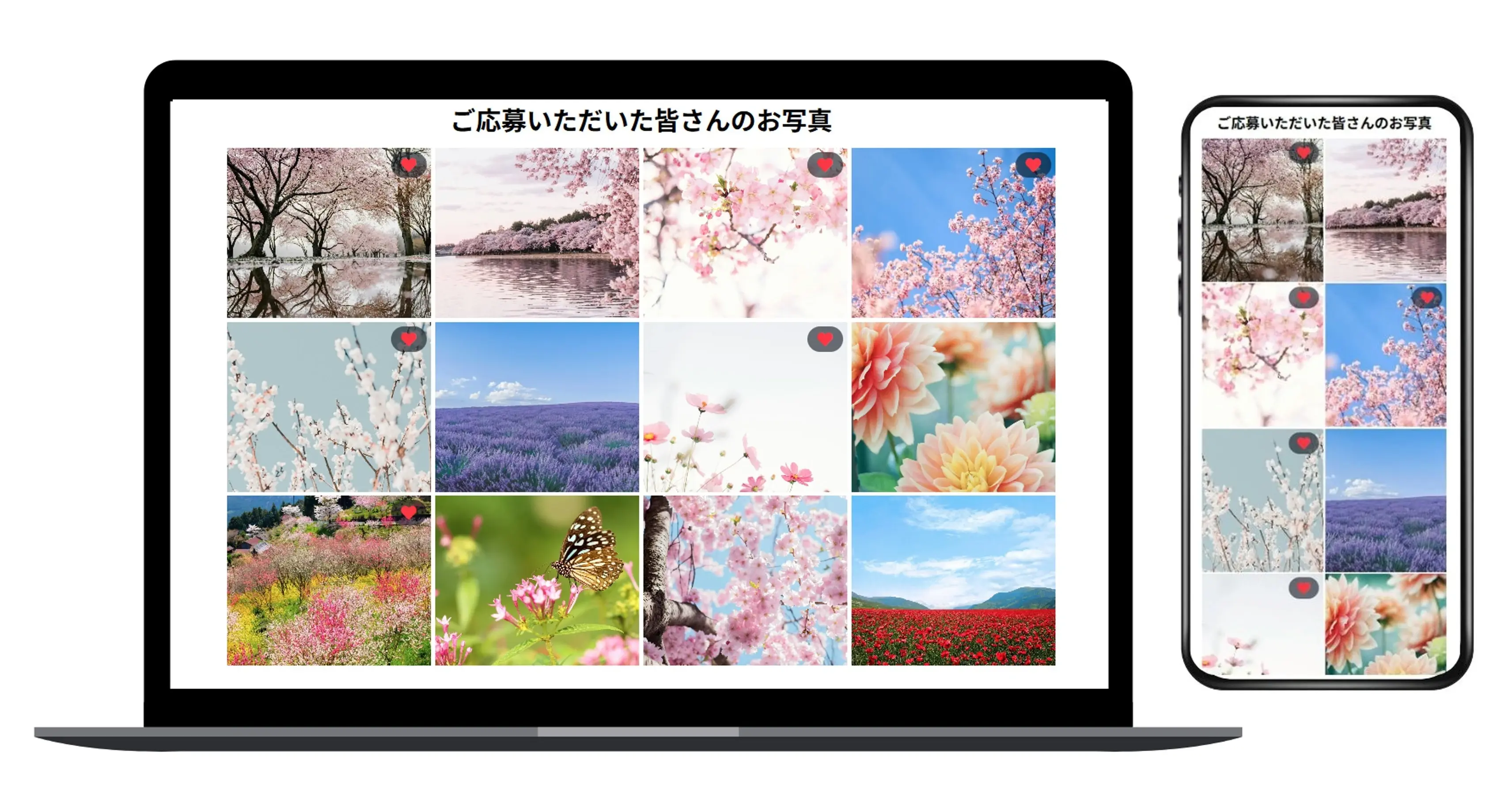 キュレーション