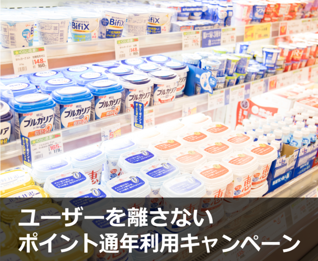 ユーザーを離さないポイント通年利用キャンペーン